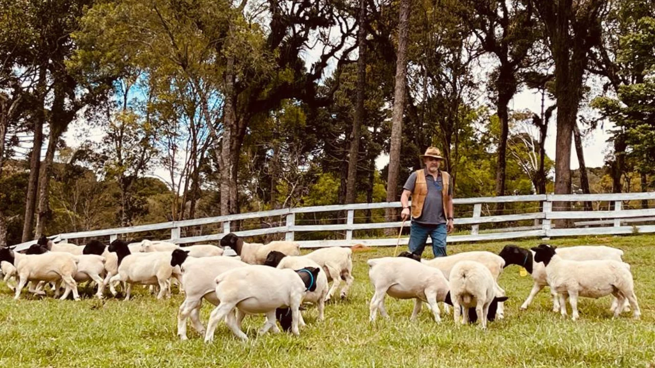 Pedro Rocha de Abreu Filho 2