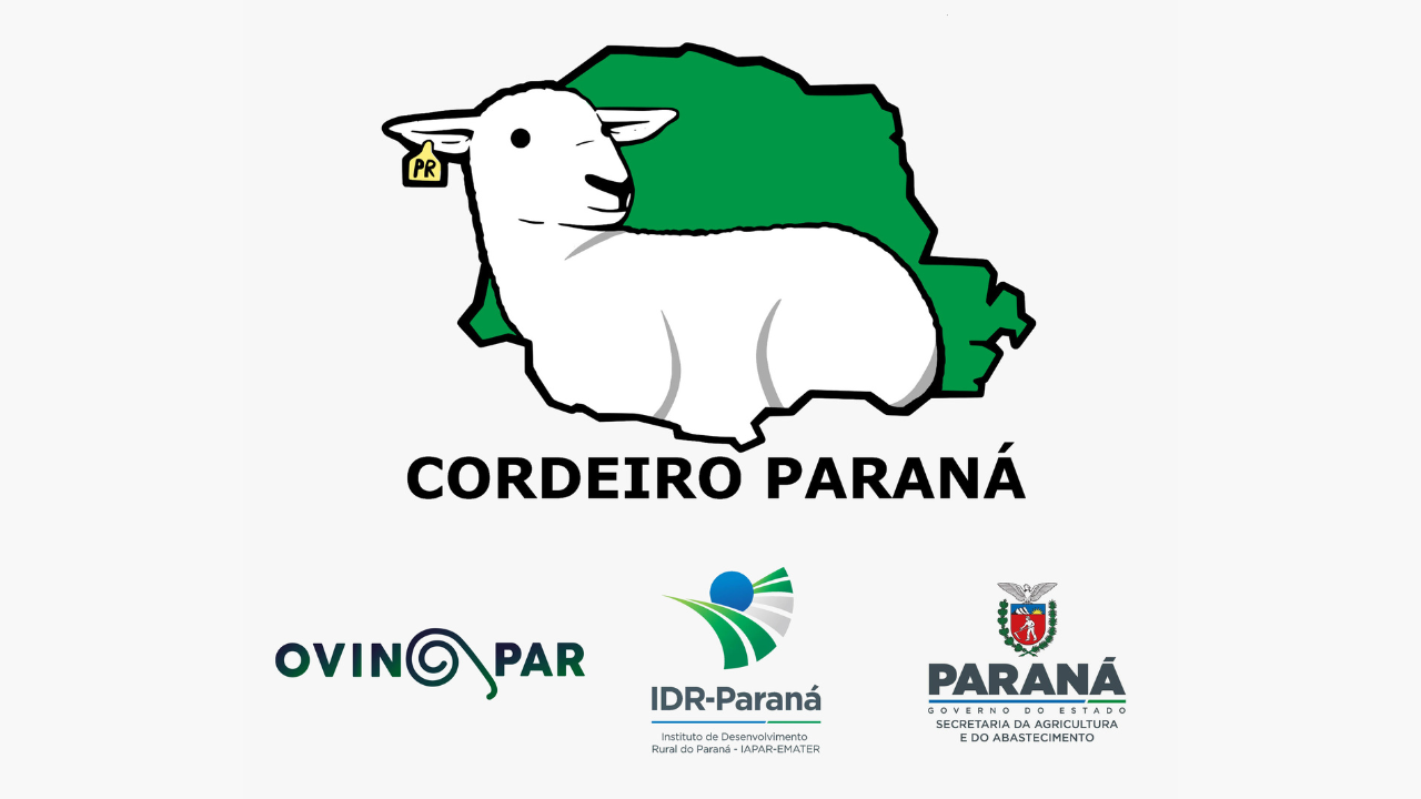 Projeto inovador visa transformar a ovinocultura de corte no Paraná Proposta visa desenvolver a ovinocultura de corte no Estado do Paraná