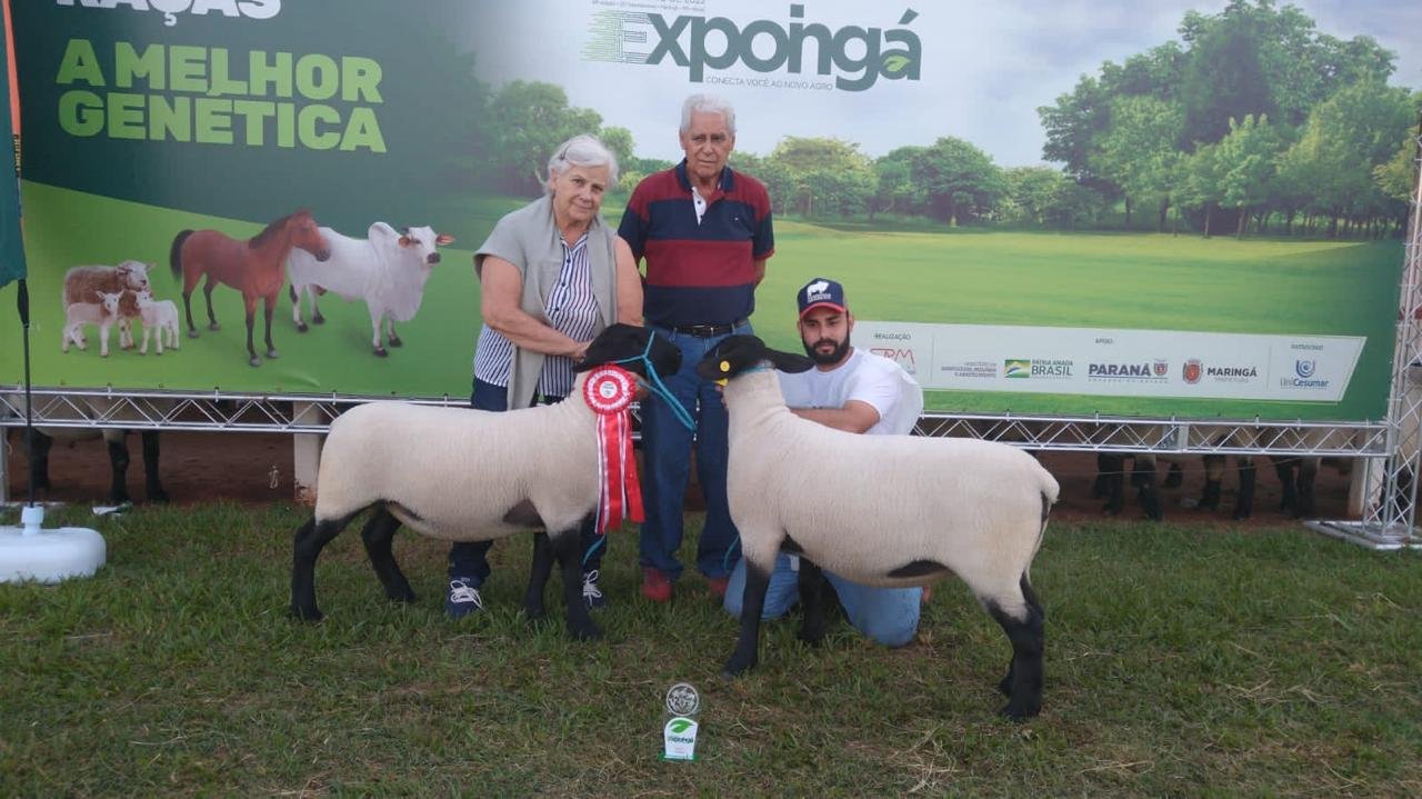 Fazenda Planalto