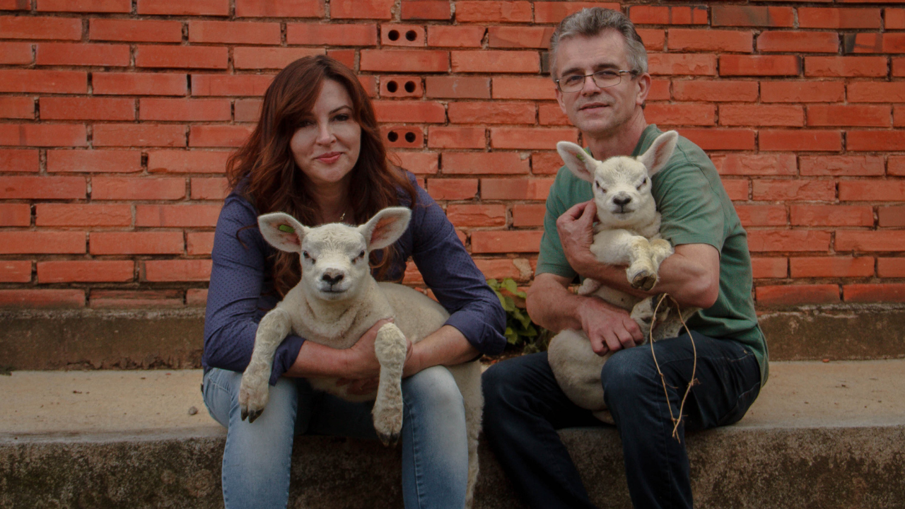 Ovinopar destaca desempenho de associados no Ranking Nacional de Criadores Texel 2025