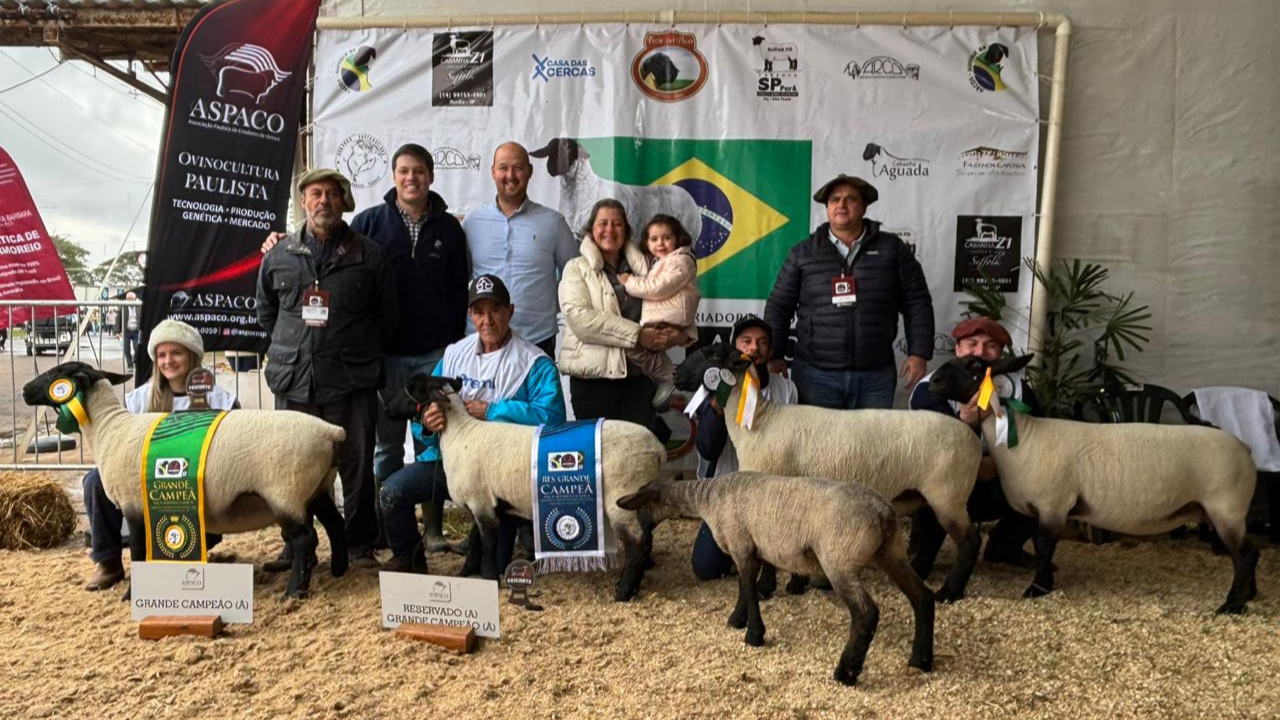Associados da Ovinopar são destaque no Campeonato RGB da 13ª Nacional da Raça Suffolk