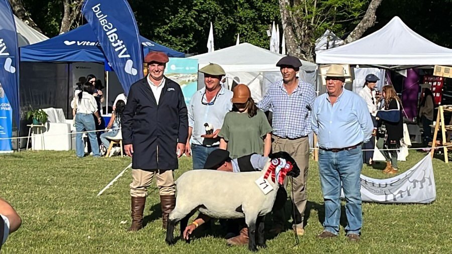 Associado da Ovinopar é convidado para julgar exposição da raça Suffolk no Uruguai
